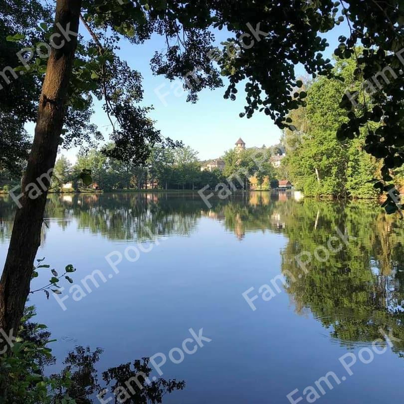 Willa Ferienhaus Moerterteich Litschau Zewnętrze zdjęcie